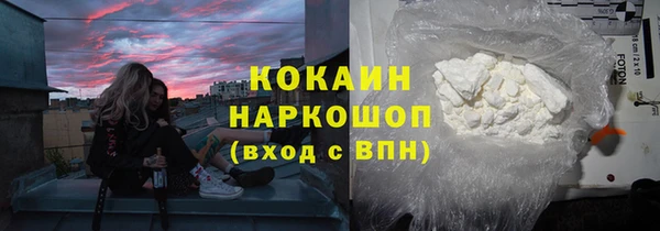 прущие грибы Балабаново
