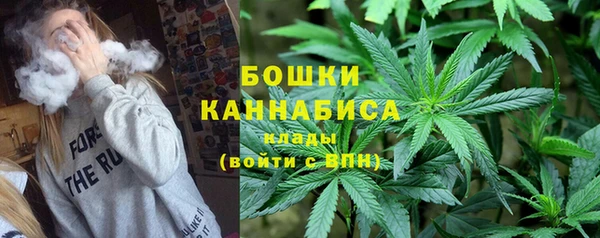 прущие грибы Балабаново