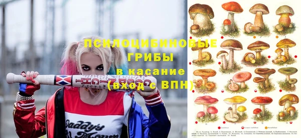ГАЛЛЮЦИНОГЕННЫЕ ГРИБЫ Балахна