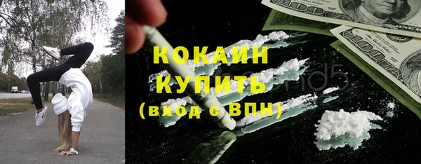 прущие грибы Балабаново
