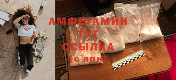 прущие грибы Балабаново
